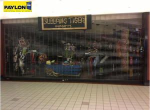 Commercial Roll-up Security Doors